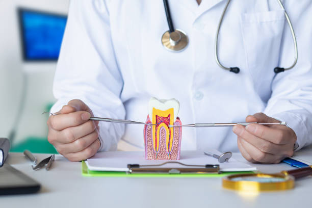 Best Emergency Root Canal Treatment in Mineola, NY